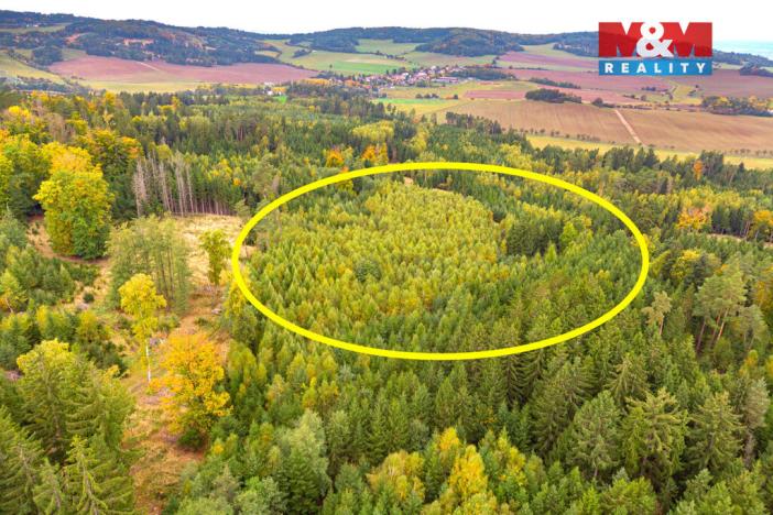 Prodej lesa, Černíkov, 12446 m2