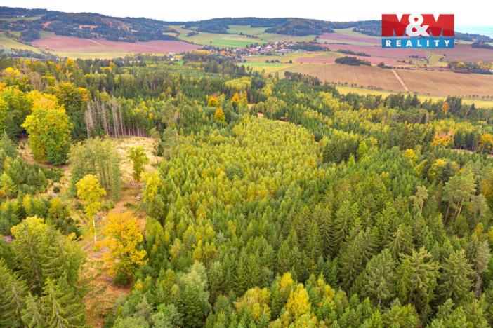 Prodej lesa, Černíkov, 12446 m2