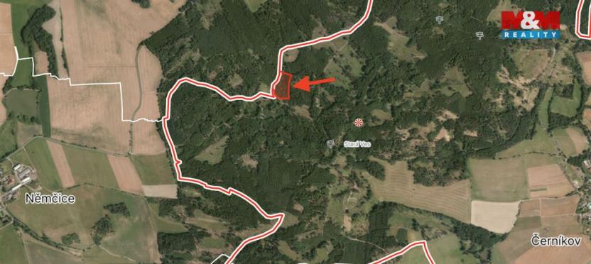 Prodej lesa, Černíkov, 12446 m2