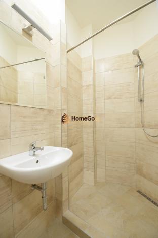Pronájem bytu 1+kk, Praha - Nusle, Žateckých, 32 m2