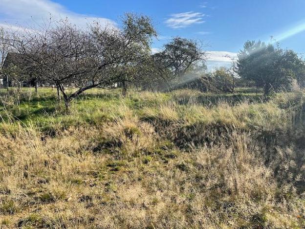 Prodej zahrady, Hrádek nad Nisou - Dolní Sedlo, Horská, 955 m2