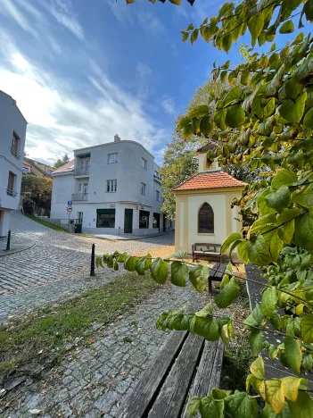 Prodej bytu 5+kk, Praha - Střešovice, Nad hradním vodojemem, 173 m2