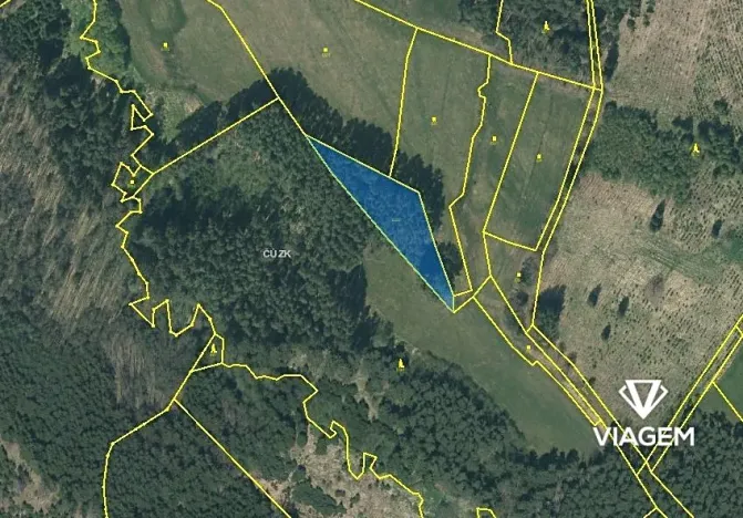 Prodej podílu lesa, Skopytce, 758 m2