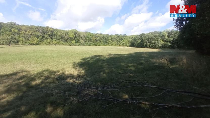 Prodej louky, Jenčice, 16692 m2