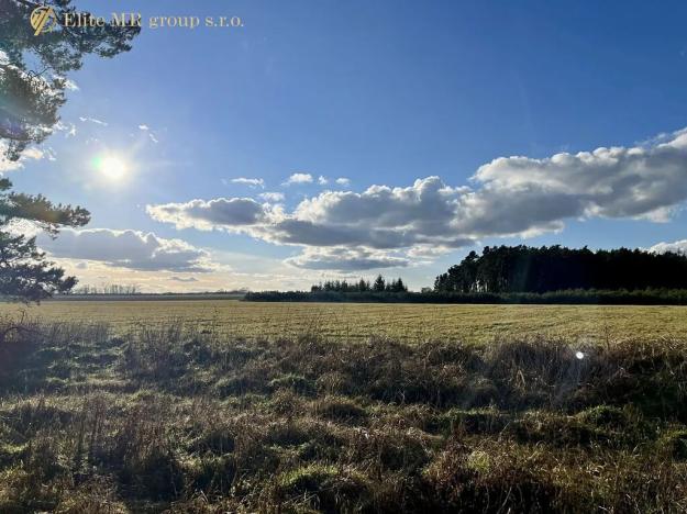 Prodej podílu lesa, Březovice, 36905 m2