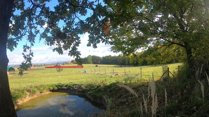 Prodej zahrady, Boršov nad Vltavou, K Pilotovi, 460 m2