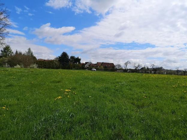 Prodej komerčního pozemku, Radomyšl, 10000 m2