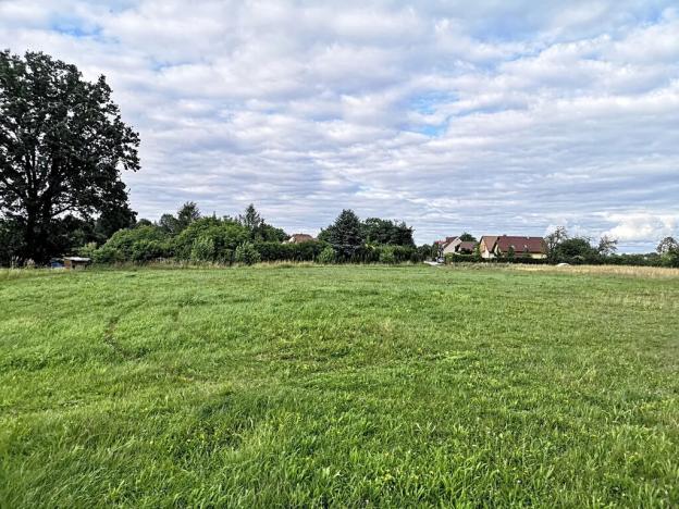 Prodej komerčního pozemku, Radomyšl, 10000 m2