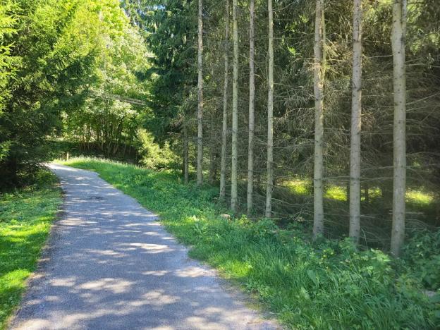 Prodej chalupy, Háje nad Jizerou, 236 m2