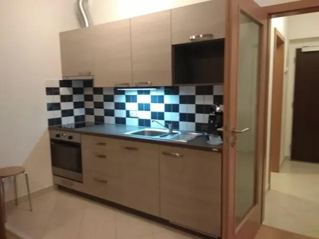Pronájem bytu 1+kk, Praha - Kamýk, Freiwaldova, 40 m2