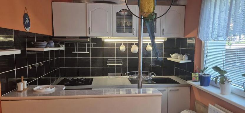 Pronájem bytu 3+1, Česká Lípa, Újezd, 75 m2