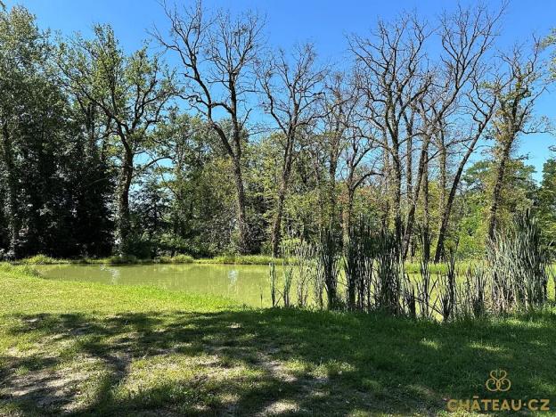 Prodej bytu 2+kk, Býchory, 62 m2