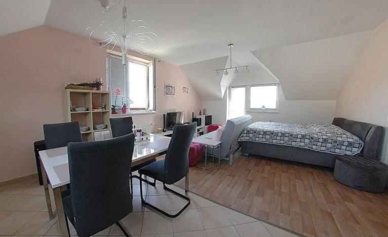 Prodej činžovního domu, Plzeň, U Pole, 496 m2