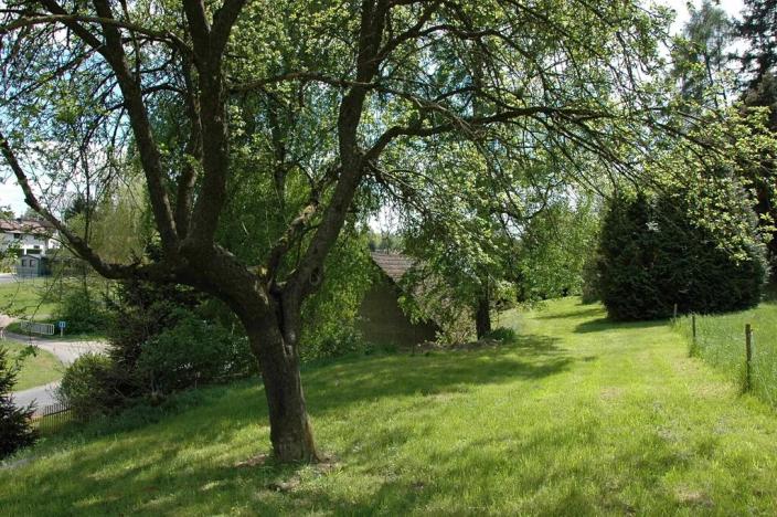 Prodej chalupy, Hnačov, 148 m2