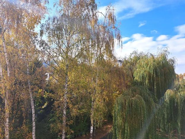 Prodej bytu 1+1, Zlín, Zborovská, 38 m2