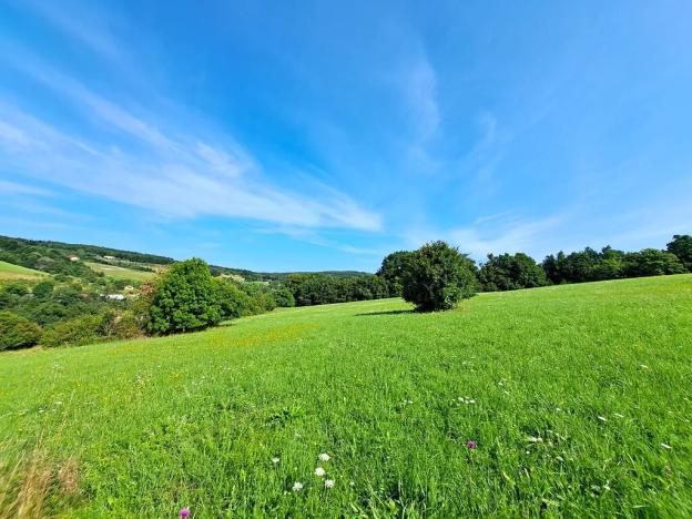 Prodej louky, Vizovice, 17696 m2