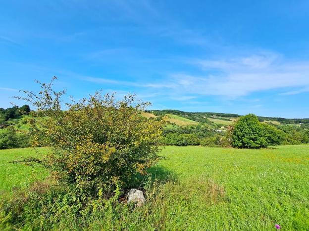 Prodej louky, Vizovice, 17696 m2