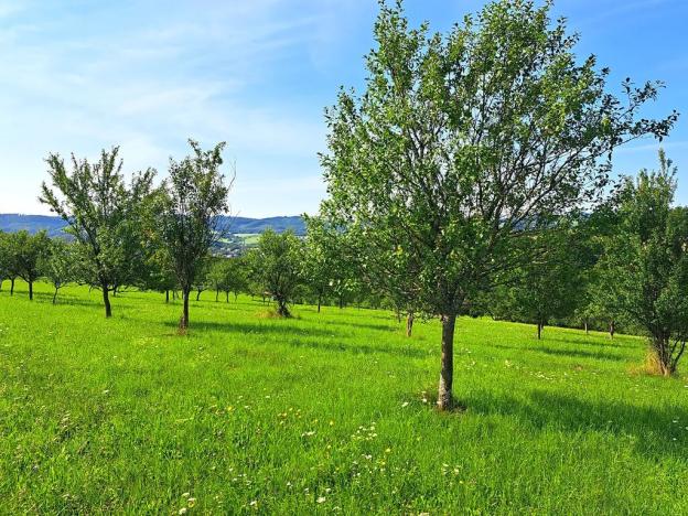 Prodej louky, Vizovice, 17696 m2