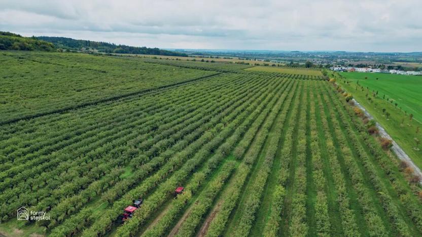 Prodej sadu/vinice, Červené Pečky, 13966 m2