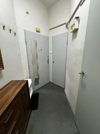 Pronájem bytu 2+kk, Praha - Žižkov, Hartigova, 48 m2