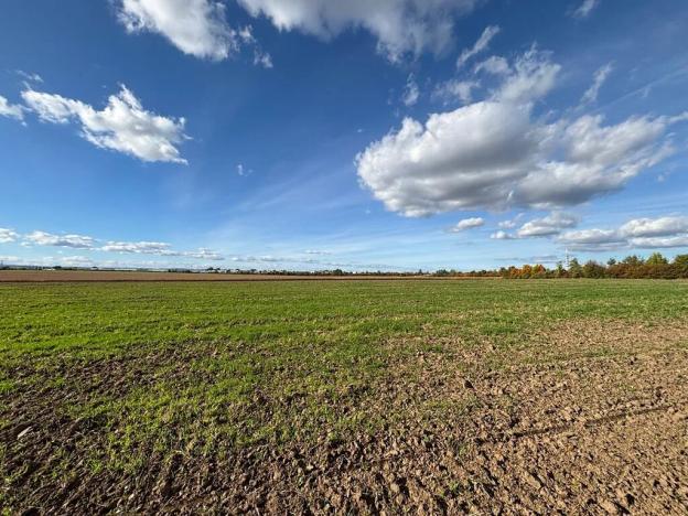 Prodej podílu pole, Olomouc, 10492 m2