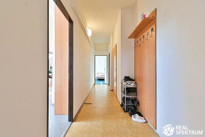 Prodej rodinného domu, Cetkovice, Velká Strana, 420 m2