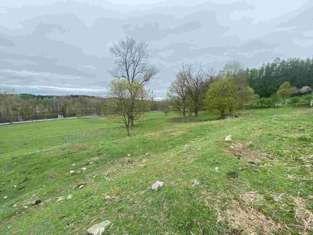 Prodej pozemku, Žár, 1212 m2