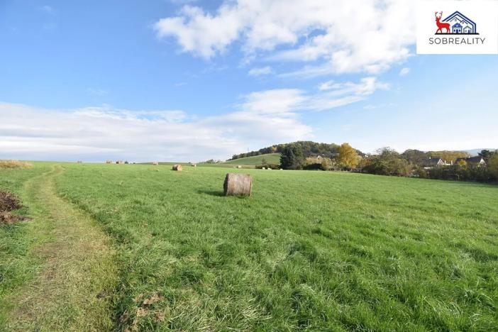 Prodej pozemku, Děčín, 29187 m2