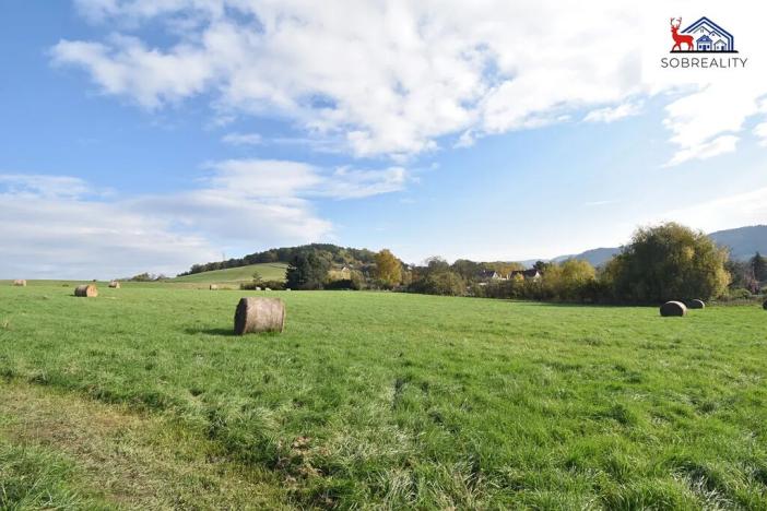 Prodej pozemku, Děčín, 29187 m2