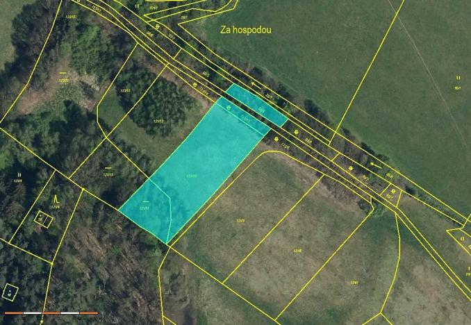 Prodej louky, Třebechovice pod Orebem, 2795 m2