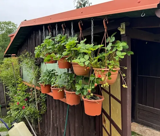 Pronájem bytu 2+1, Smržovka, Hlavní, 83 m2