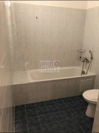 Pronájem bytu 2+kk, Liberec, Šlikova, 48 m2