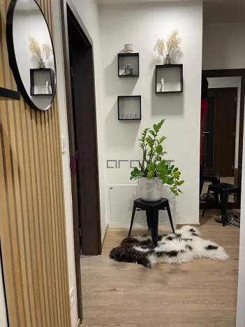 Pronájem bytu 3+kk, Olomouc, Šantova, 94 m2