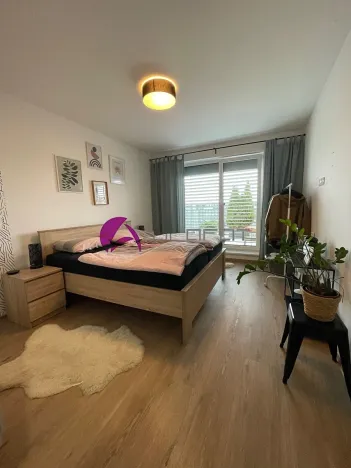 Pronájem bytu 3+kk, Olomouc, Šantova, 94 m2