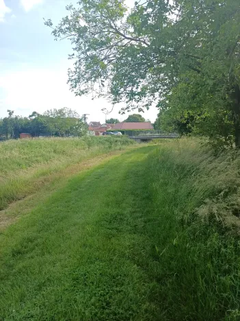 Prodej zahrady, Bučovice, 2010 m2