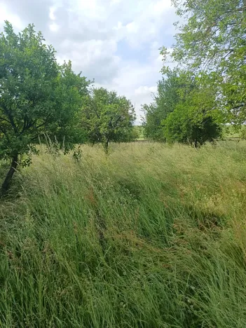 Prodej zahrady, Bučovice, 2010 m2