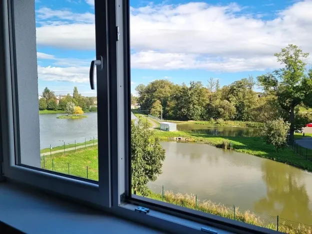 Prodej bytu 1+kk, Hranice, Jiřího z Poděbrad, 36 m2