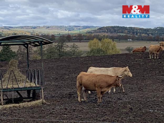 Prodej pozemku pro bydlení, Jabloňany, 3913 m2