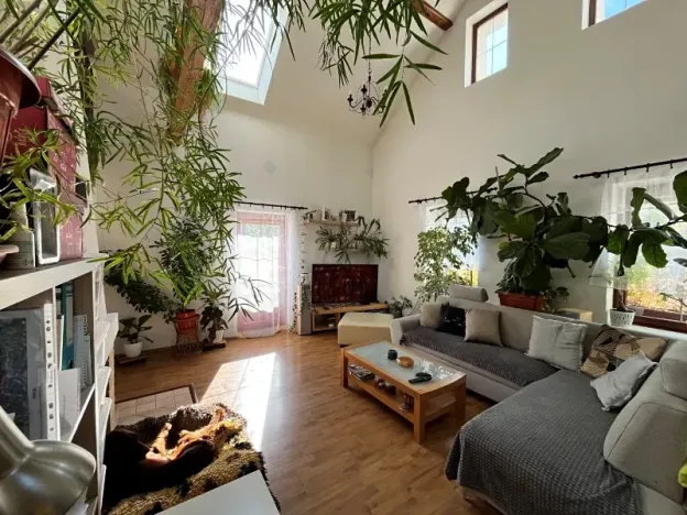 Pronájem rodinného domu, Dobronín, 250 m2