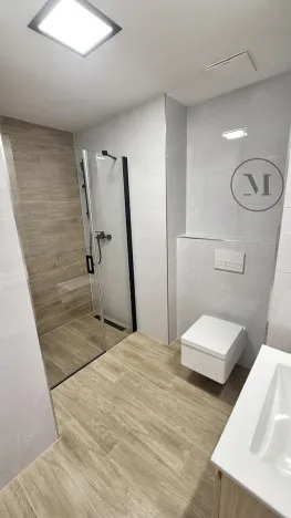 Pronájem bytu 1+kk, České Budějovice, Branišovská, 32 m2
