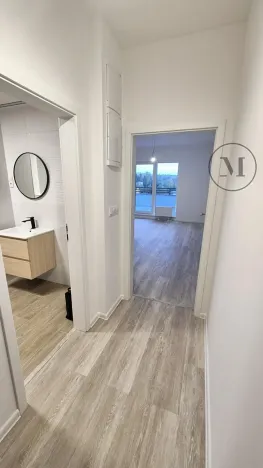 Pronájem bytu 1+kk, České Budějovice, Branišovská, 32 m2