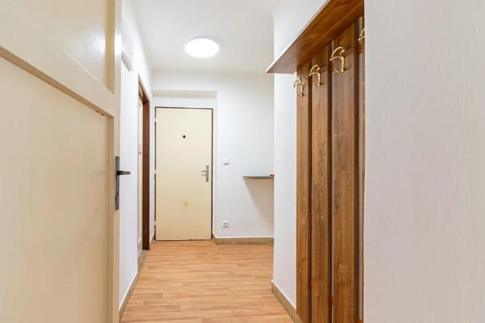 Pronájem bytu 1+1, Mladá Boleslav, Boženy Němcové, 30 m2