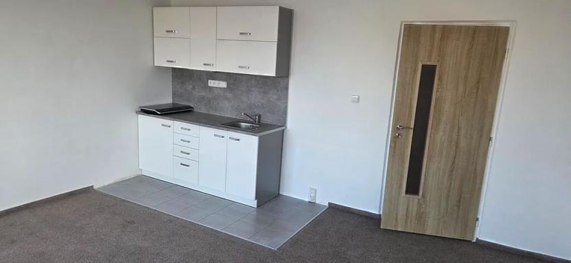 Pronájem bytu 1+kk, Praha - Kamýk, U Kamýku, 32 m2