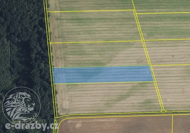 Dražba pole, Libníkovice, 11414 m2
