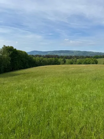 Prodej louky, Český Dub, 58420 m2