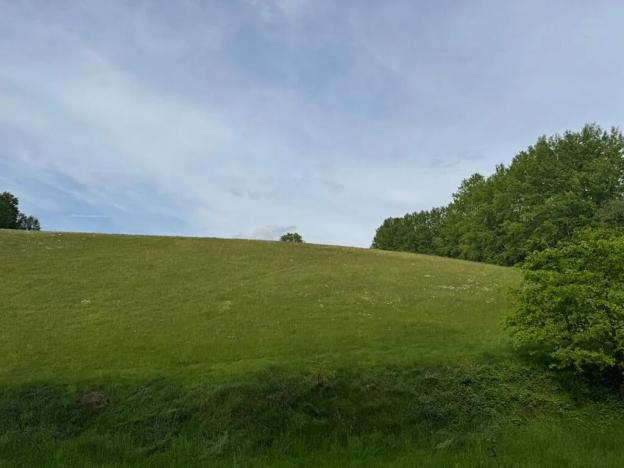 Prodej louky, Český Dub, 58420 m2