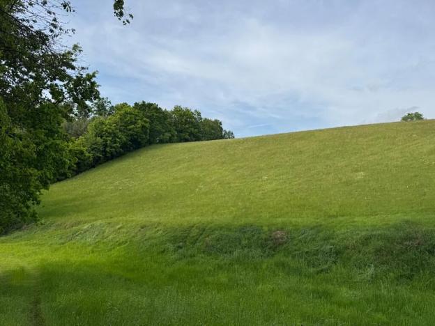 Prodej louky, Český Dub, 58420 m2