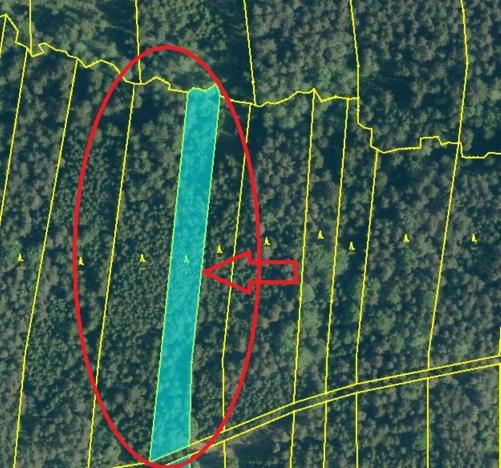 Prodej lesa, Ločenice, 16414 m2