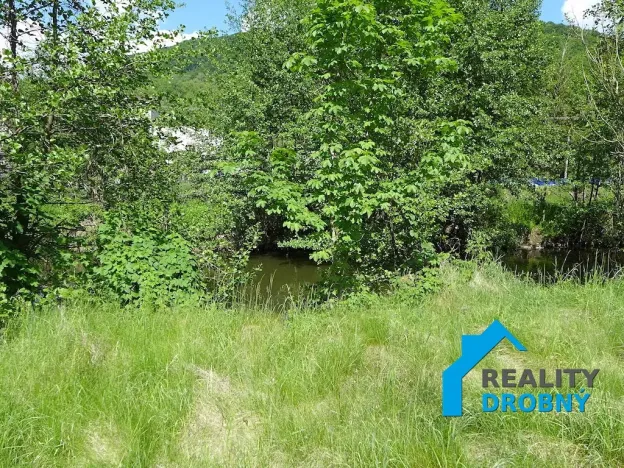 Pronájem zahrady, Malá Veleň, 3534 m2