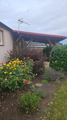 Pronájem rodinného domu, Olšany u Prostějova, 55 m2